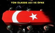 33 ASKERİMİZ ŞEHİT OLDU