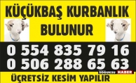 KÜÇÜK BAŞ KURBANLIK SATIŞLARI BAŞLADI