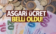 2021 YILI ASGARİ ÜCRET NEKADAR OLDU