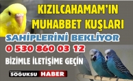 SİZİNDE BİR MUHABBET KUŞUNUZ OLSUN