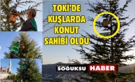 TOKİ KONUTLARINDA HAYVAN SEVGİSİ SINIR TANIMIYOR