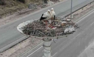 LEYLEKLER KIZILCAHAMAM'A ULAŞTI