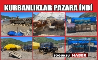 KIZILCAHAMAM DA KURBAN PAZARI KURULDU