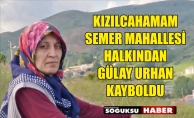 KAYIP İLANI