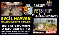 ATASOY PETSHOP AÇILDI