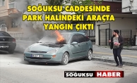 ARAÇTA ÇIKAN YANGIN PANİĞE NEDEN OLDU