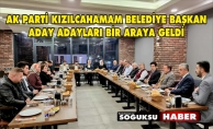 AK PARTİ ADAY ADAYLARI BİRARADA