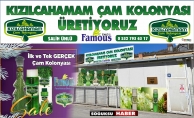 KIZILCAHAMAM ÇAM KOLONYASI YENİ YERİNDE HİZMETİNİZDE