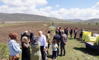 KARABUĞDAY KIZILCAHAMAM'DA FİLİZLENECEK