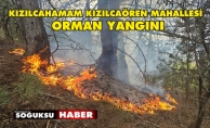 YILDIRIM DÜŞMESİ SONUCUNDA YANGIN MEYDANA GELDİ