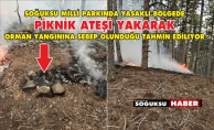 ORMAN YANGINI BÜYÜMEDEN SÖNDÜRÜLDÜ