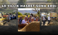 40 YIL ARADAN SONRA YENİDEN HASAT YAPILDI