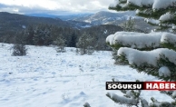 KIZILCAHAMAM'IN YÜKSEK KESİMLERİNDE KAR BEYAZA BÜRÜDÜ