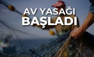 AV YASAĞI BAŞLADI