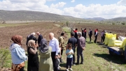 KARABUĞDAY KIZILCAHAMAM'DA FİLİZLENECEK