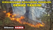 YILDIRIM DÜŞMESİ SONUCUNDA YANGIN MEYDANA GELDİ