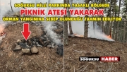 ORMAN YANGINI BÜYÜMEDEN SÖNDÜRÜLDÜ