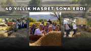 40 YIL ARADAN SONRA YENİDEN HASAT YAPILDI