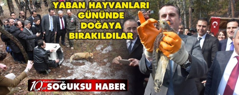 YABAN HAYVANLARI GÜNÜNDE DOĞAYA BIRAKILDI