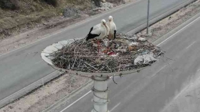 LEYLEKLER KIZILCAHAMAM'A ULAŞTI