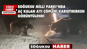 SOĞUKSU MİLLİ PARKINA İNEN AYILAR ÇÖPLERİ KARIŞTIRIYOR