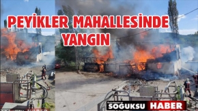 PEYİKLER MAHALLESİ YANGIN