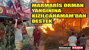 YANGINA DESTEK